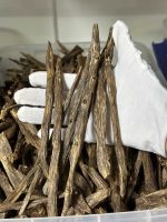 Hainan Agarwood, China: Insect-damaged long strips, SSS grade - Image 2